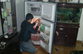 Dịch vụ sửa tủ lạnh tại nhà uy tín - chuyên nghiệp